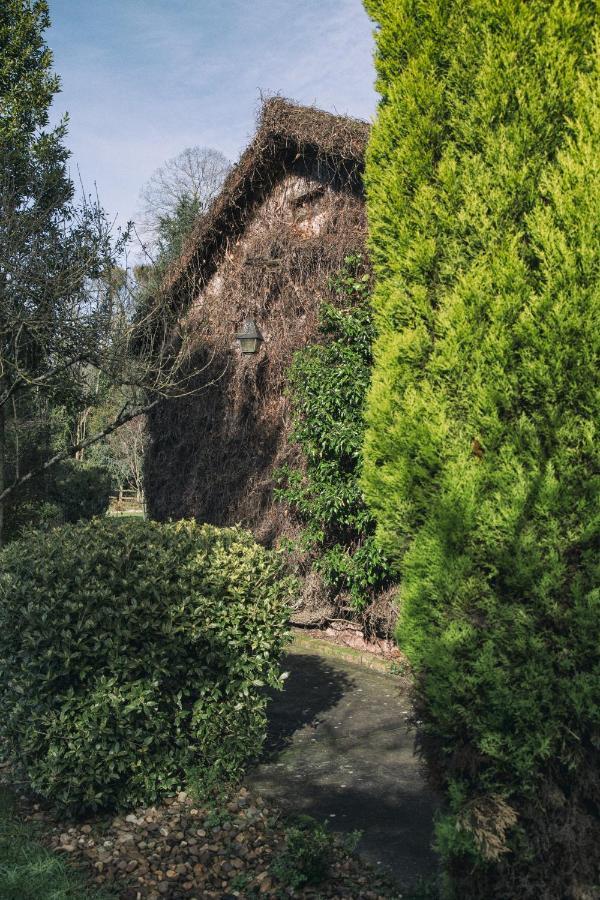 ホテル La Casona De Amandi ビリャビシオサ エクステリア 写真