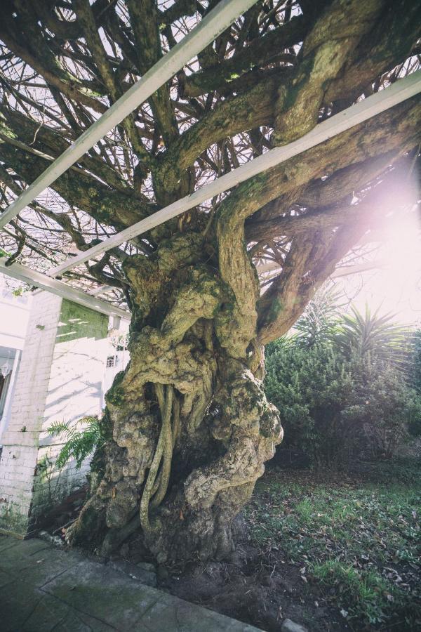 ホテル La Casona De Amandi ビリャビシオサ エクステリア 写真