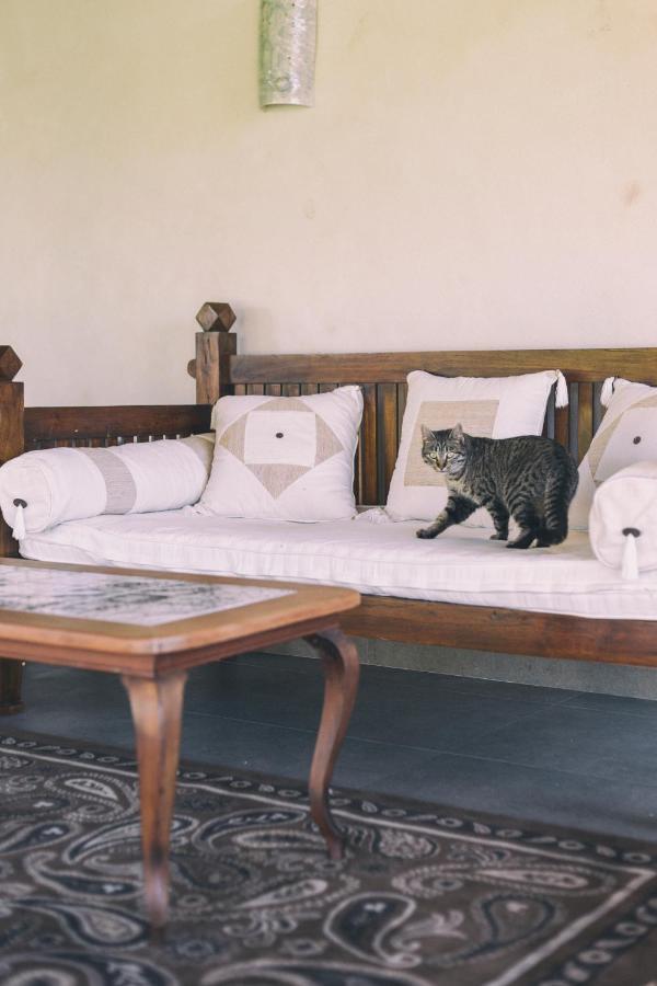 ホテル La Casona De Amandi ビリャビシオサ エクステリア 写真