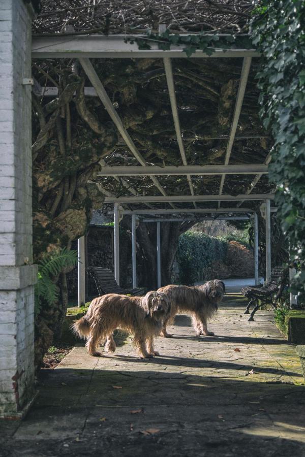 ホテル La Casona De Amandi ビリャビシオサ エクステリア 写真