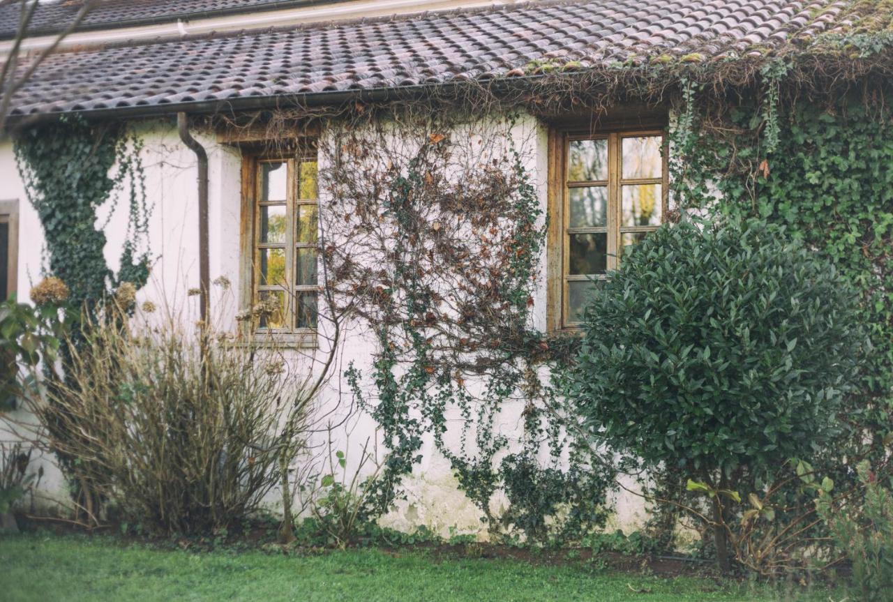 ホテル La Casona De Amandi ビリャビシオサ エクステリア 写真